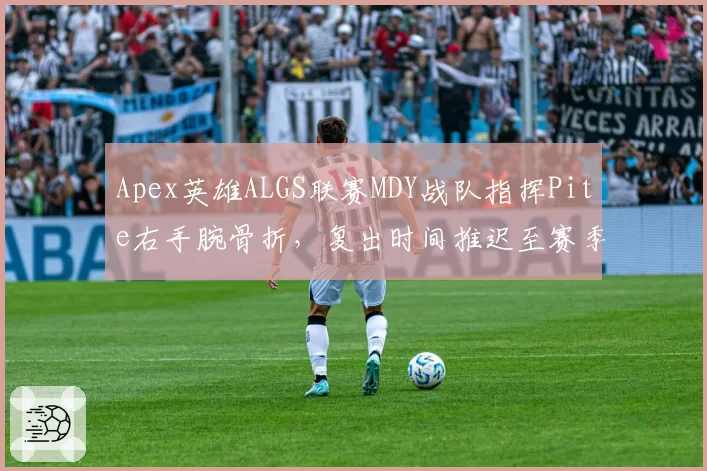 Apex英雄ALGS联赛MDY战队指挥Pite右手腕骨折，复出时间推迟至赛季末