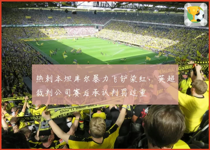 热刺本坦库尔暴力飞铲染红，英超裁判公司赛后承认判罚过重